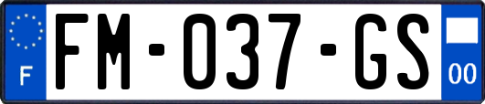 FM-037-GS