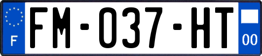 FM-037-HT