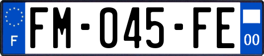 FM-045-FE