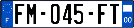 FM-045-FT