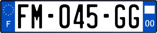 FM-045-GG