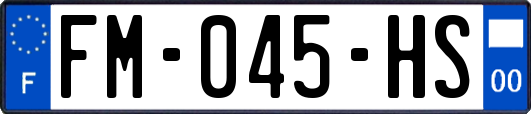 FM-045-HS