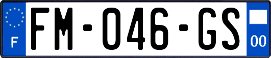 FM-046-GS