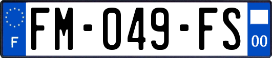 FM-049-FS
