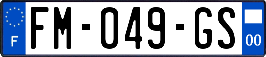 FM-049-GS
