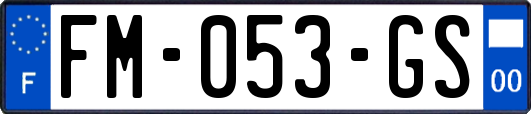 FM-053-GS