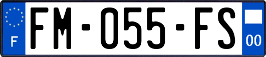FM-055-FS