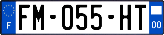 FM-055-HT