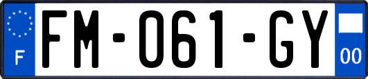 FM-061-GY