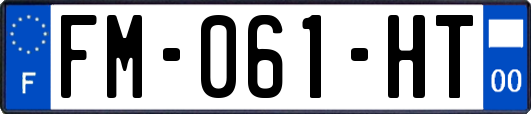 FM-061-HT