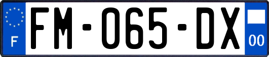 FM-065-DX