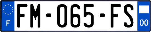 FM-065-FS