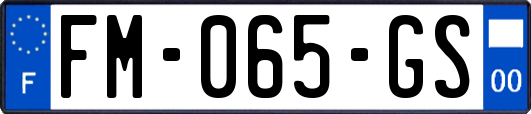 FM-065-GS