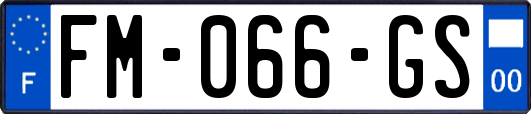 FM-066-GS