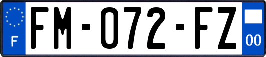 FM-072-FZ