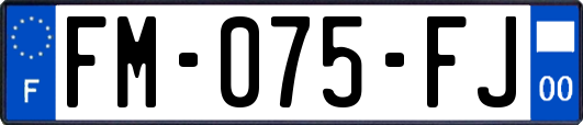 FM-075-FJ