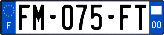 FM-075-FT