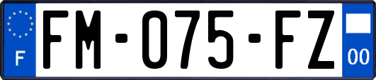 FM-075-FZ