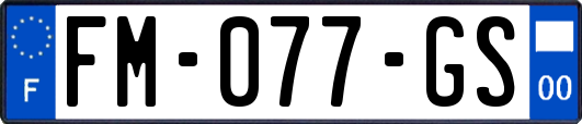FM-077-GS