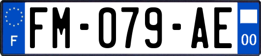 FM-079-AE