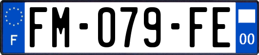 FM-079-FE