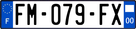 FM-079-FX