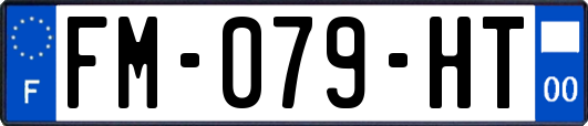 FM-079-HT