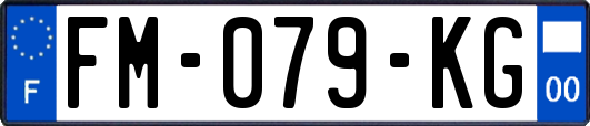 FM-079-KG