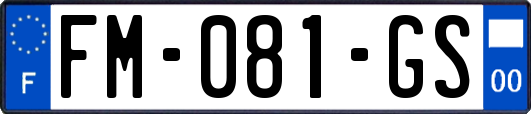 FM-081-GS