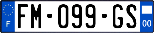 FM-099-GS