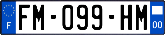 FM-099-HM