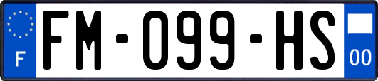 FM-099-HS