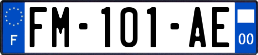 FM-101-AE