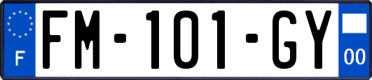 FM-101-GY