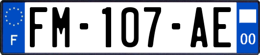 FM-107-AE