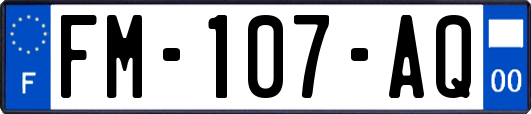 FM-107-AQ