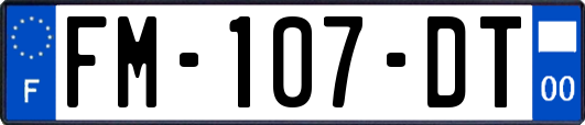 FM-107-DT