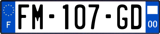 FM-107-GD