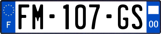 FM-107-GS