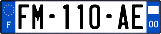 FM-110-AE