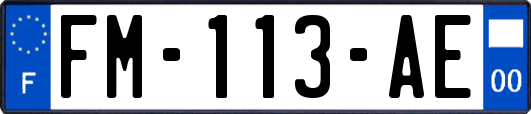 FM-113-AE