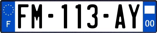 FM-113-AY