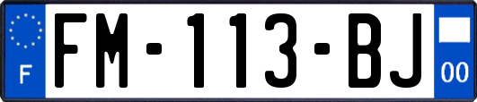 FM-113-BJ