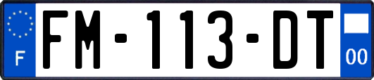 FM-113-DT