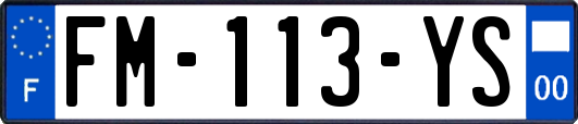 FM-113-YS