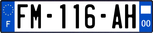 FM-116-AH