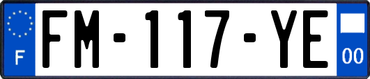 FM-117-YE