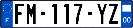 FM-117-YZ