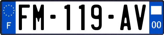 FM-119-AV