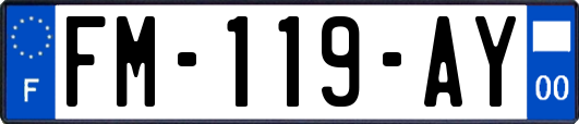 FM-119-AY